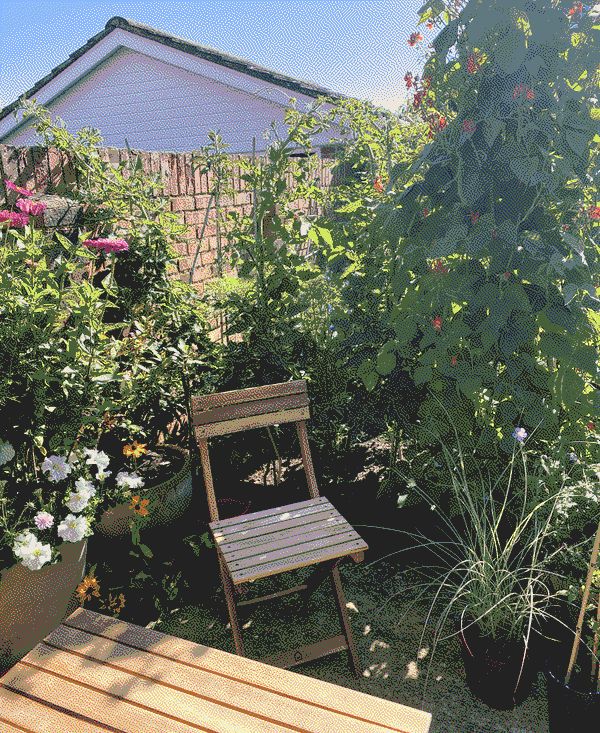 A wooden garden chair is positioned within the shade of walled paved area. There are pots and plants surrounding it.