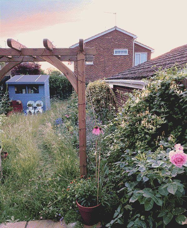 A view down a garden at dusk.